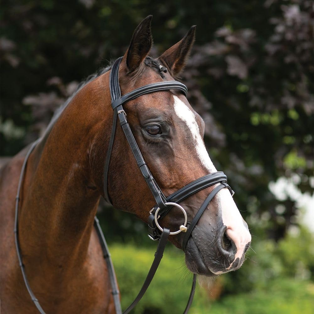Pinnacle Comfort Plus Dressage Bridle | Color Black | Size Oversize | Ultimate Horse Riding Experience | Unprecedented Stable Comfort | Exceptional Craftsmanship