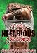 A Very Nefarious Christmas (Nefarious MC series)