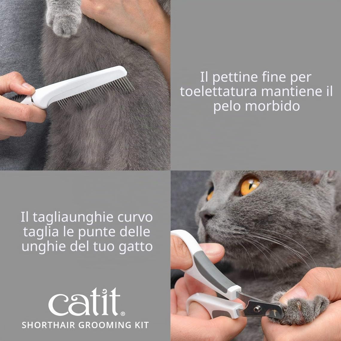 Catit Set di Spazzole per Gatti a Pelo Corto