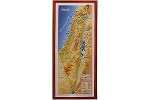 Raised Relief 3D Map of Israel and Surrounding Countries (MEDIUM: 14.5 x 6.5)