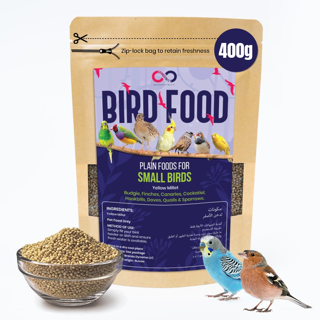 Brandsfinity 400g Plain Bird Food for Small Birds,100% Yellow Millet Seeds, Ideal for Budgies, Canaries, Love Birds, Zebra Finches, Easy-to-Serve Bird Feed for Bird Feeders and Outdoor Bird Houses