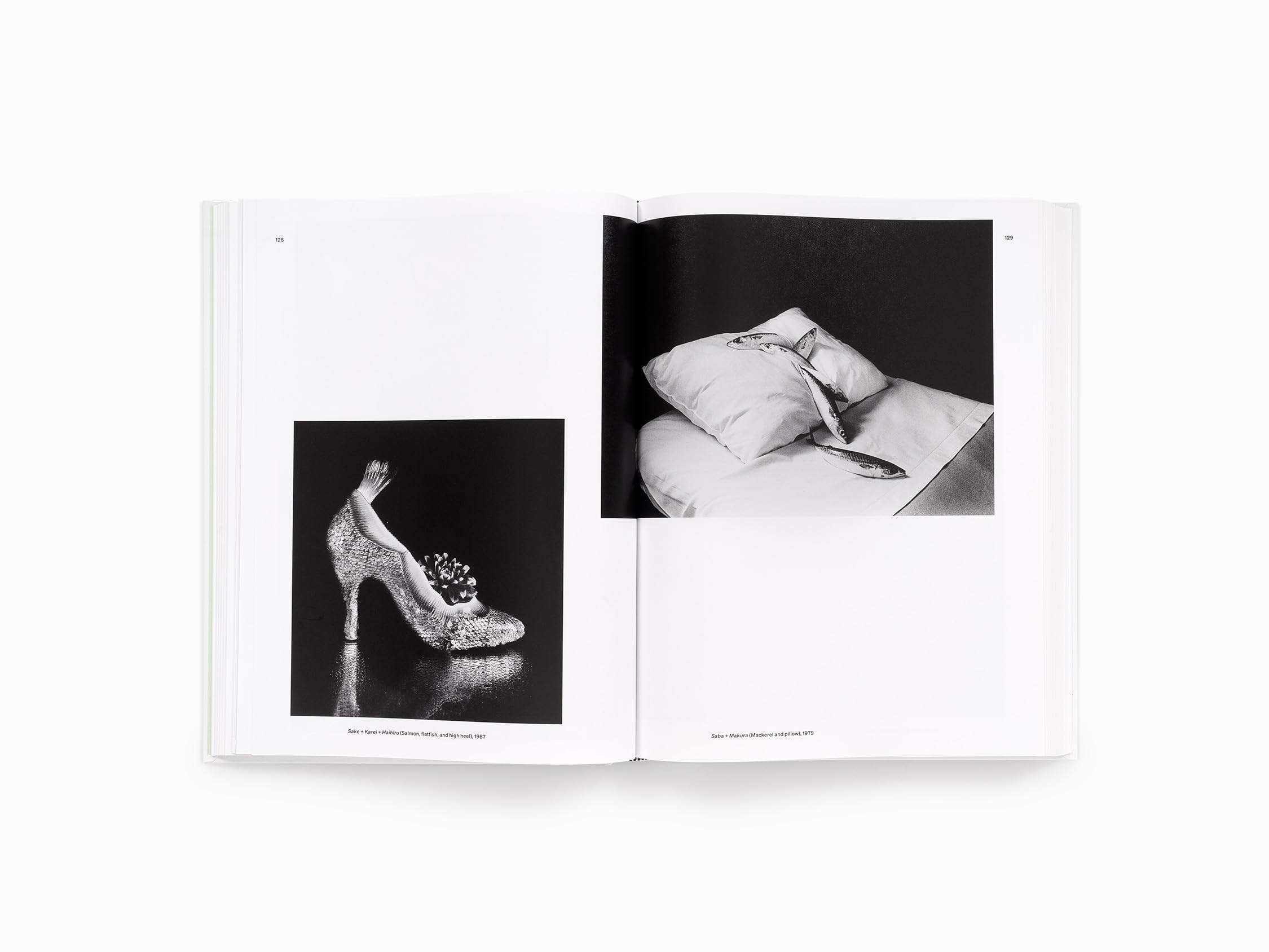 I’m So Happy You Are Here: Japanese Women Photographers from the 1880s to Now
