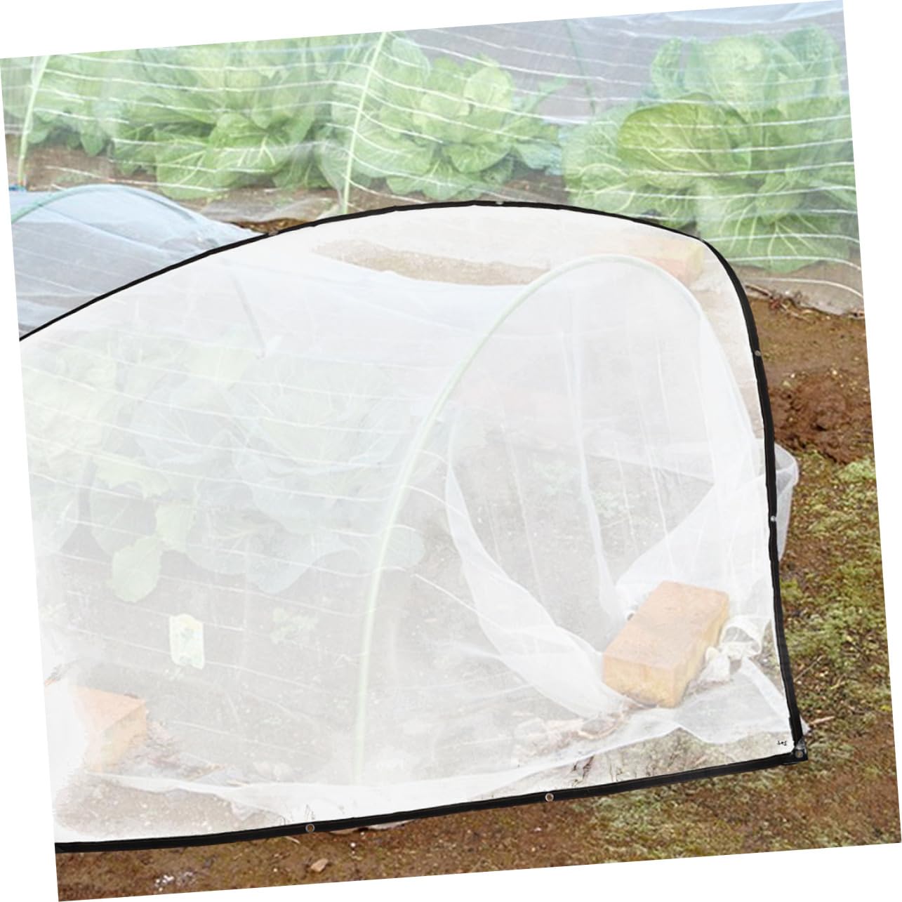 BESPORTBLE Lonas Transparentes para Invernadero, Cubierta de Plástico Engrosada para Protección de Plantas, Animales y Camping Aislamiento y Resistencia al Envejecimiento