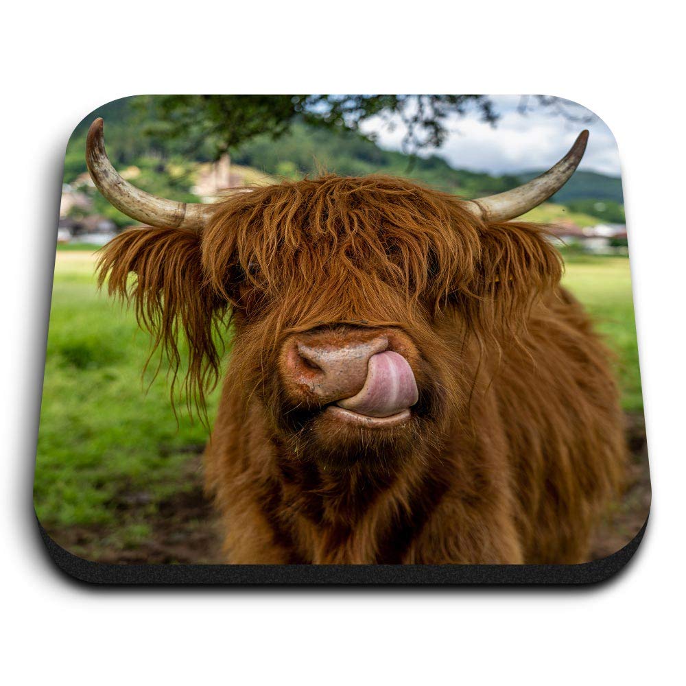 1 x Square MDF Fridge Magnet - Brown Highland Cow Cattle 44472