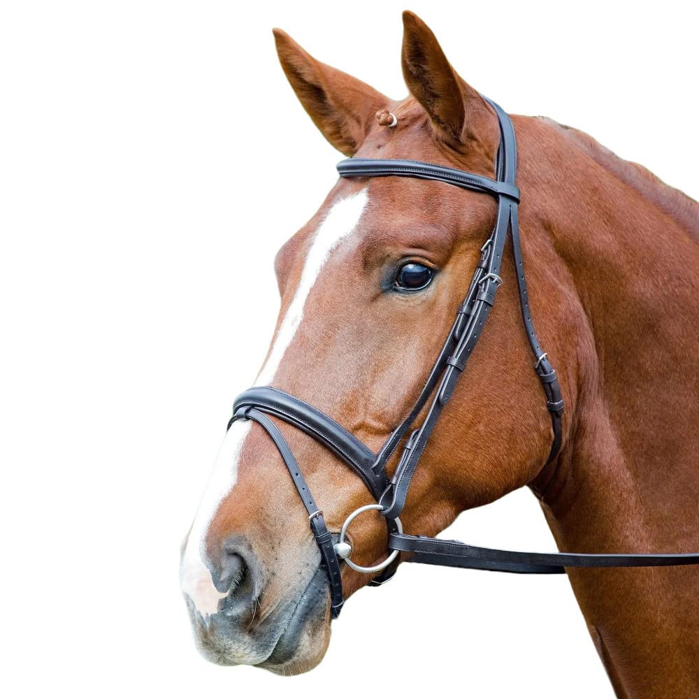 Aviemore Comfort Fit Leather Horse Bridle (Small Pony) (Black)