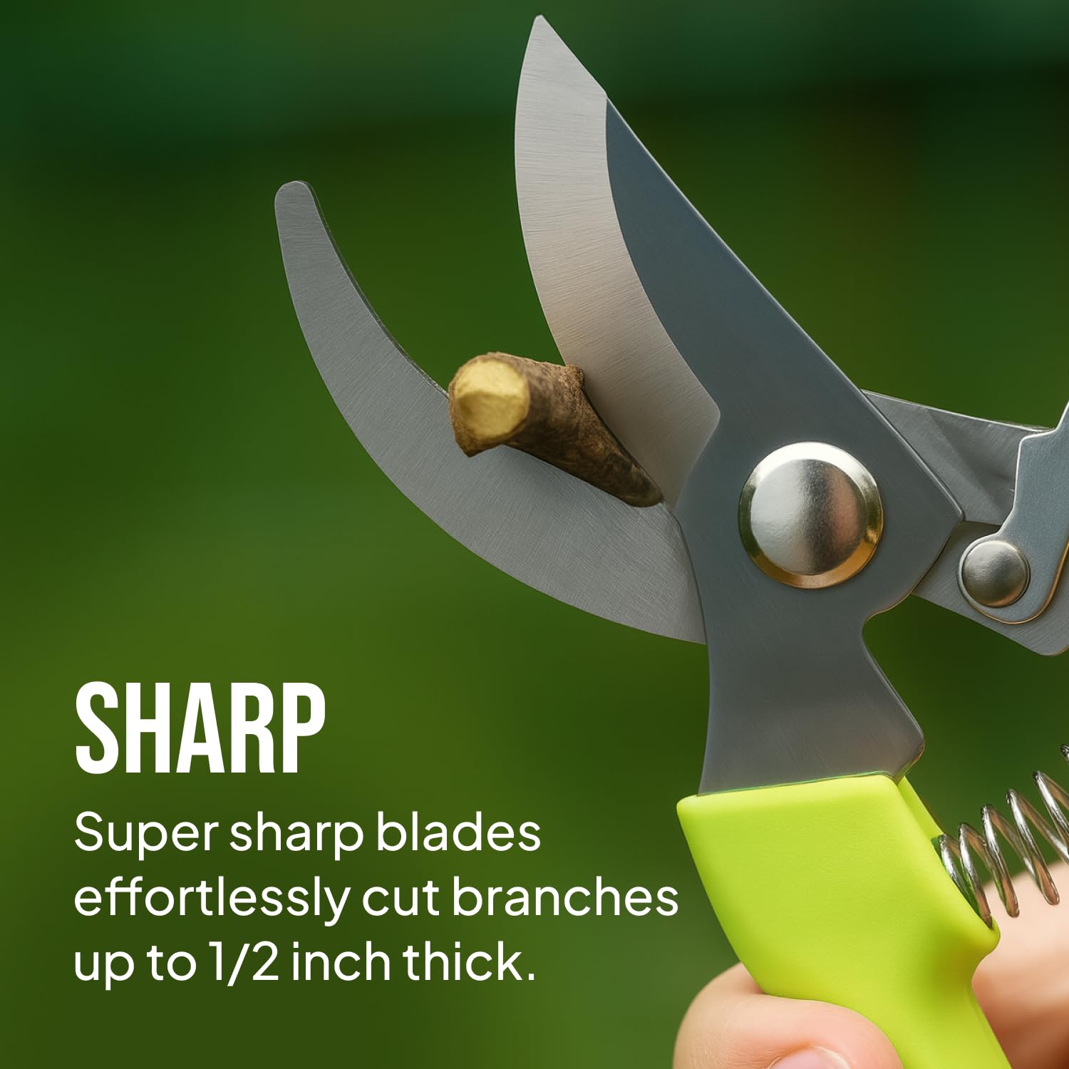 Stainless Steel Gardening Scissors - 2 Pack -4