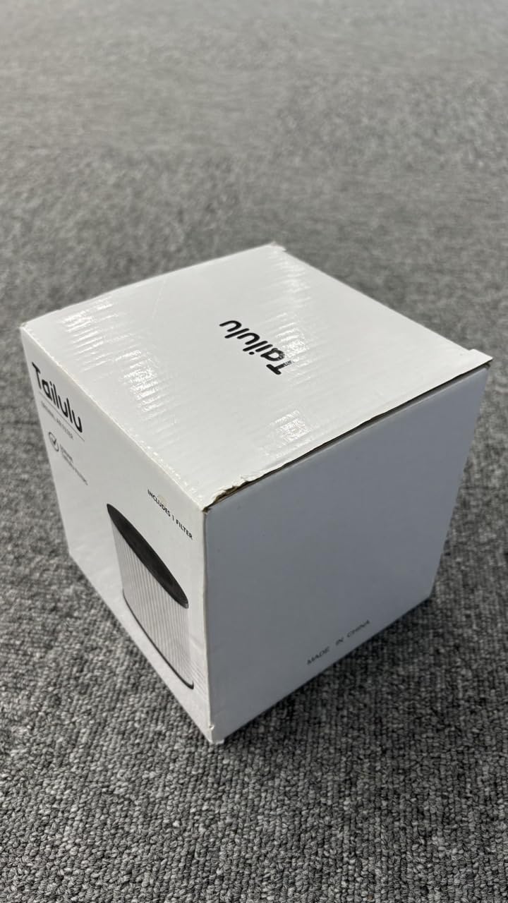 EJD Offizieller AP100 Luftreiniger-Ersatzfilter, 3-in-1 Luftreinigerfilter, True H13 Filter, 2 Stück
