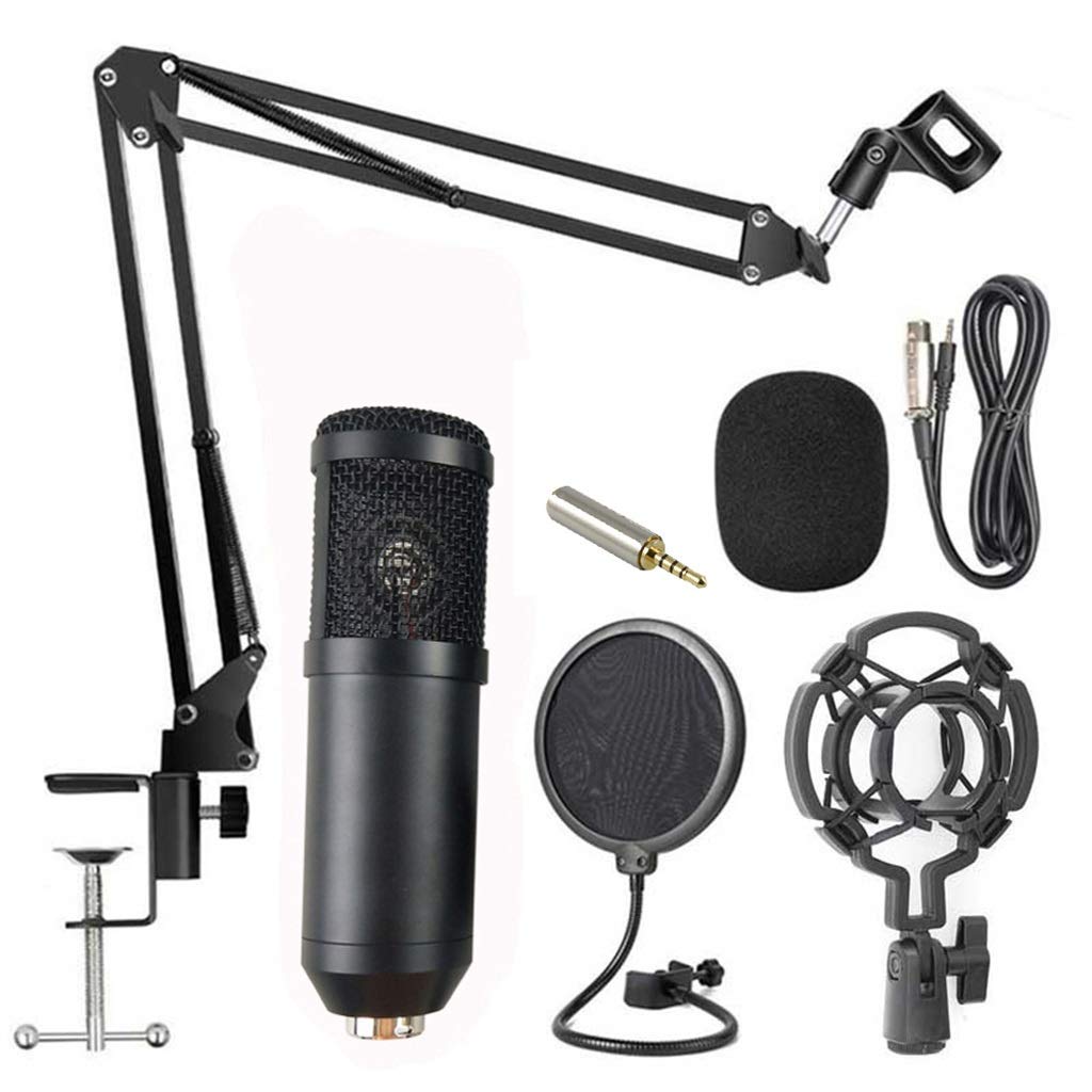 New Live Sound Card Microphone Set Voice Changer Multifunctional USB Audio Interface Intelligent Volume Mic for Live Broadcast (Color : Style Two) (Style One)