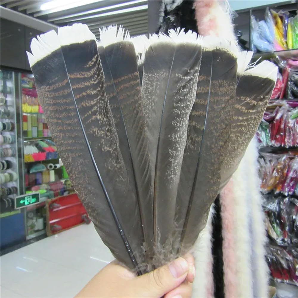 XDMING 10Pcs Natural Eagle Bird Feathers 25-30cm Selected Prime Eagle Feathers Diy Jewelry Decoration