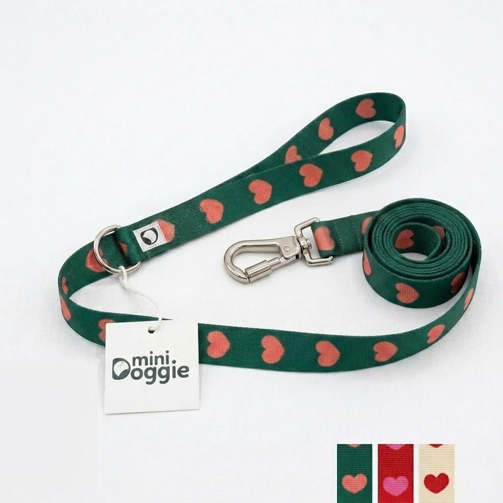Heart Leash – 3 Colors, Double Lock Safety Clip, Durable 2.5cm Wide Dog Walking Lead (Red)