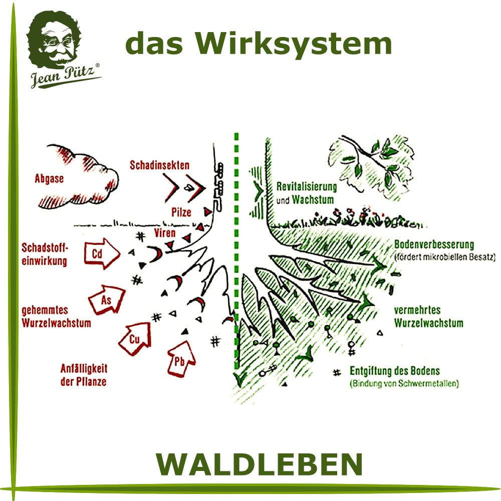 WALDLEBEN 1 Liter, die biologische Vitalkur fr Pflanzen : Amazon.de: Garten