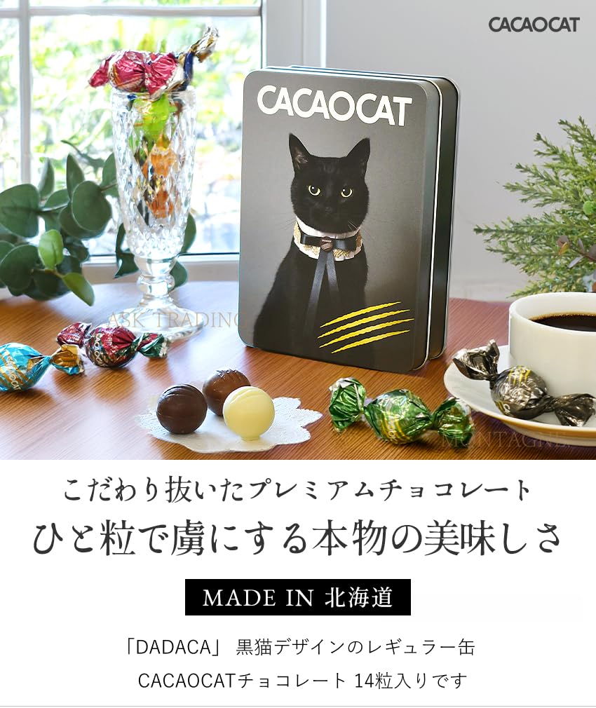 Amazon.co.jp: DADACA カカオキャット CACAOCAT チョコレート 黒猫缶