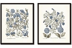 5x7 'Sepia & Blue Botanical Prints No 8'