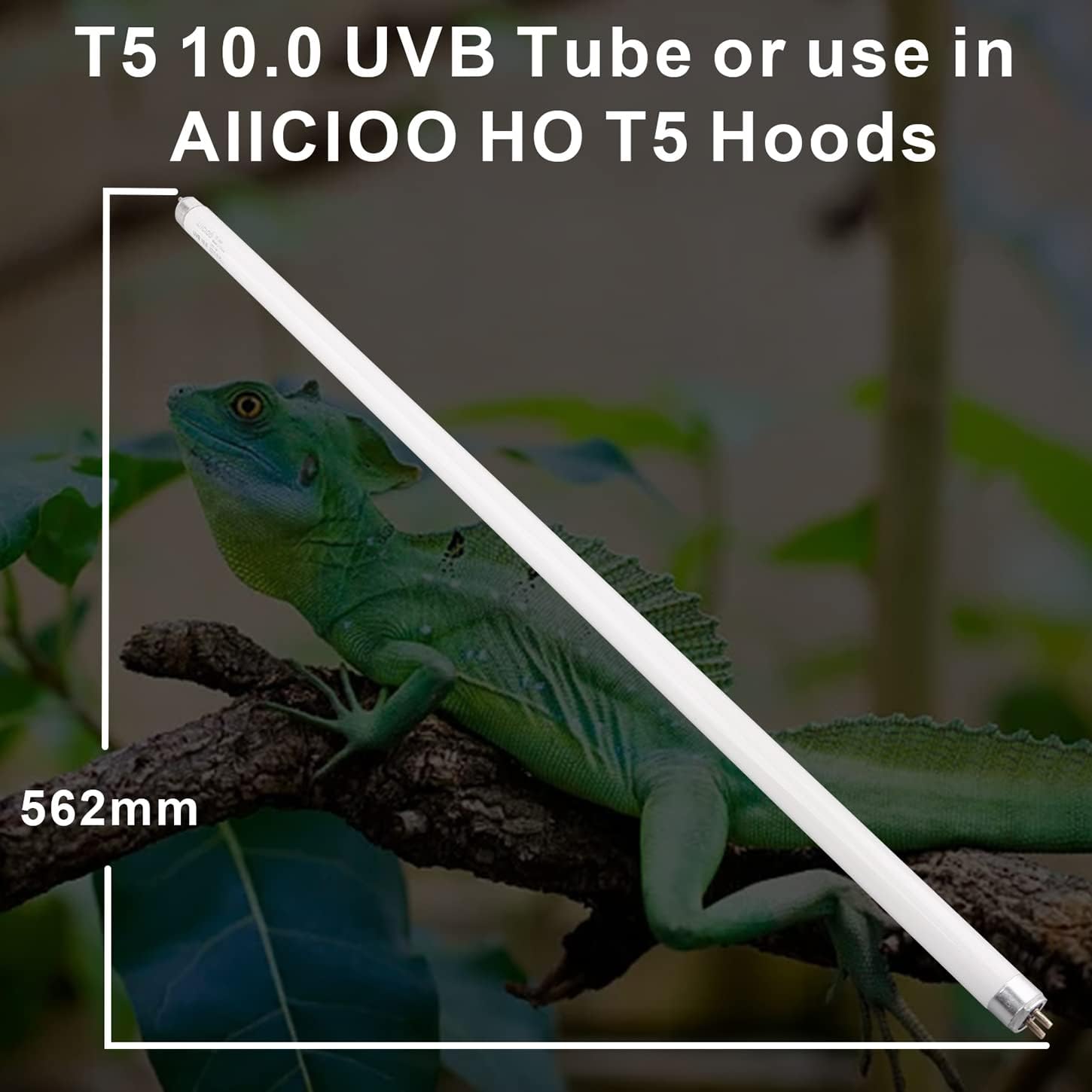 Aiicioo 2 Pack T5 HO 10.0 Reptile UVB Light 24W - Desert 22" UVA UVB Fluorescent Lamp Tube UVB Lighting Bulb for Tortoises Lizard Bearded Dragon Chameleon Turtles - image 3