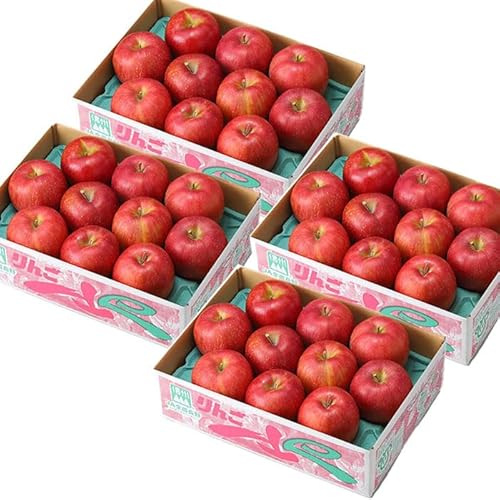 お歳暮 りんご サンふじ 3kg×4箱 風のいたずら ちょっと訳あり 大きさおまかせ 長野県産 信州高山さわやかりんご 林檎 リンゴ