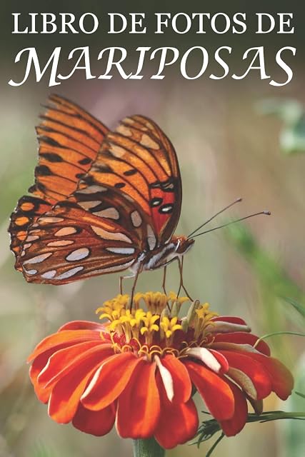 Portada de Libro de Fotos de Mariposas: Ayuda para Personas Mayores con Demencia o Alzheimer