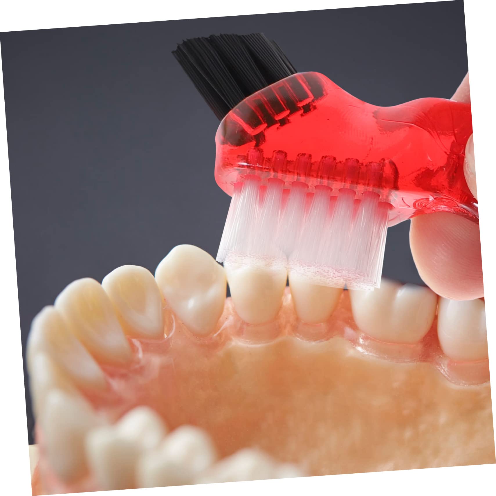 Beavorty 4 Set Di Spazzole Per Spazzolini Da Denti Spazzola Morbida Piccola A Doppia Faccia Per La Pulizia Per Uso Quotidiano 4 Pezzi*4