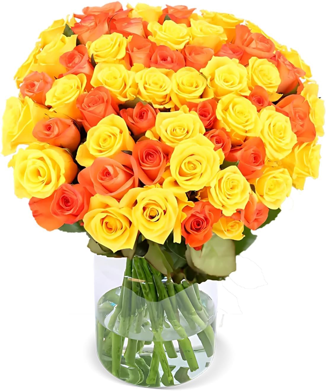 Blume Ideal Rosenstrauß - Rosen in verschiedenen Farben und Mengen - Ø 40–50 cm - Echte premium Blumen für Hochzeit & Deko - 7 Tage Frischegarantie