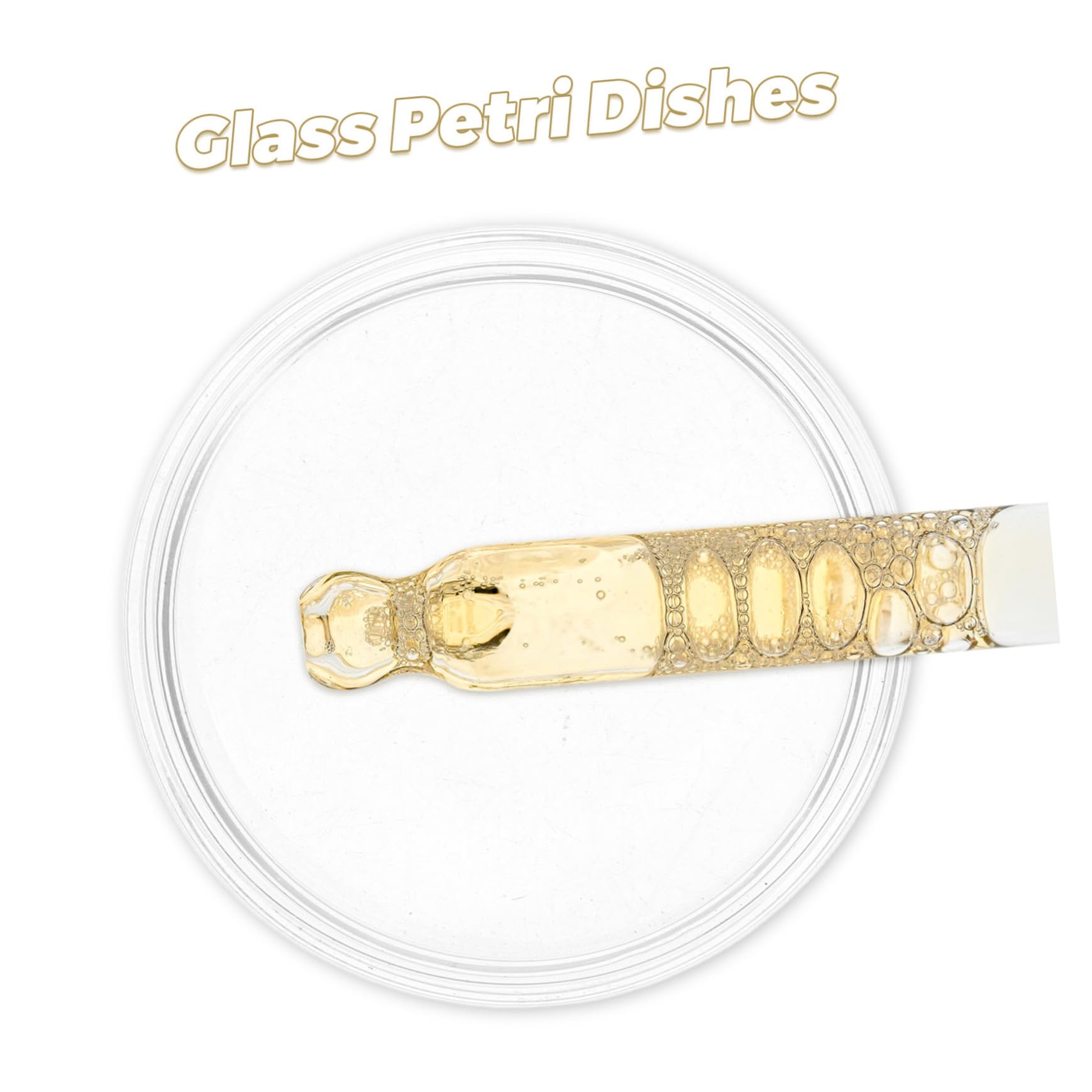 10piezas Placa de Petri de Vidrio Experimental Placa de Cultivo de Laboratorio para Microbiológico Recipiente con Tapa para Cultivo de Herramienta de Ciencia para Uso Laboratorio