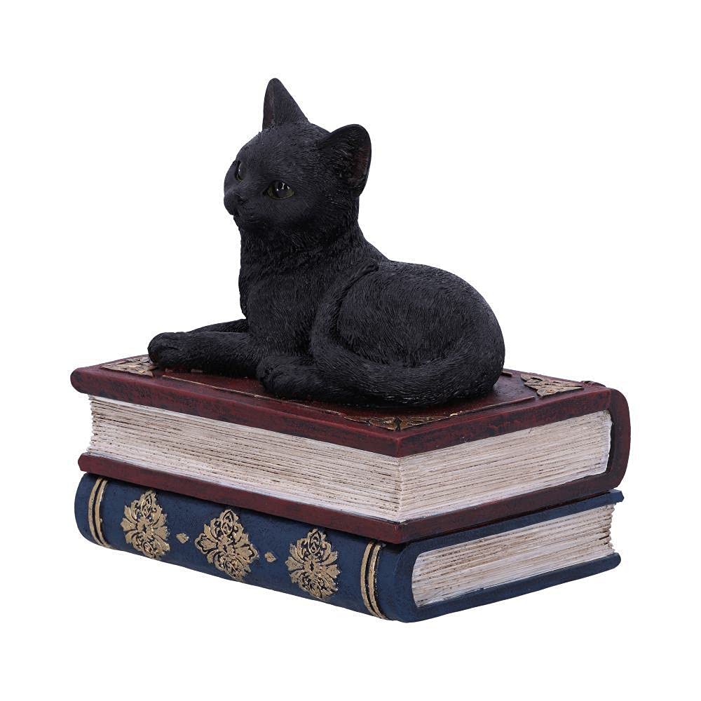 Nemesis Now Salems czarownice znane czarny kot i pudełko z księgą zaklęć, 11,7 cm