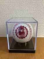 Amazon.co.jp: ぶいすぽ 野球ボール 猫汰つな 文化体育祭 : おもちゃ