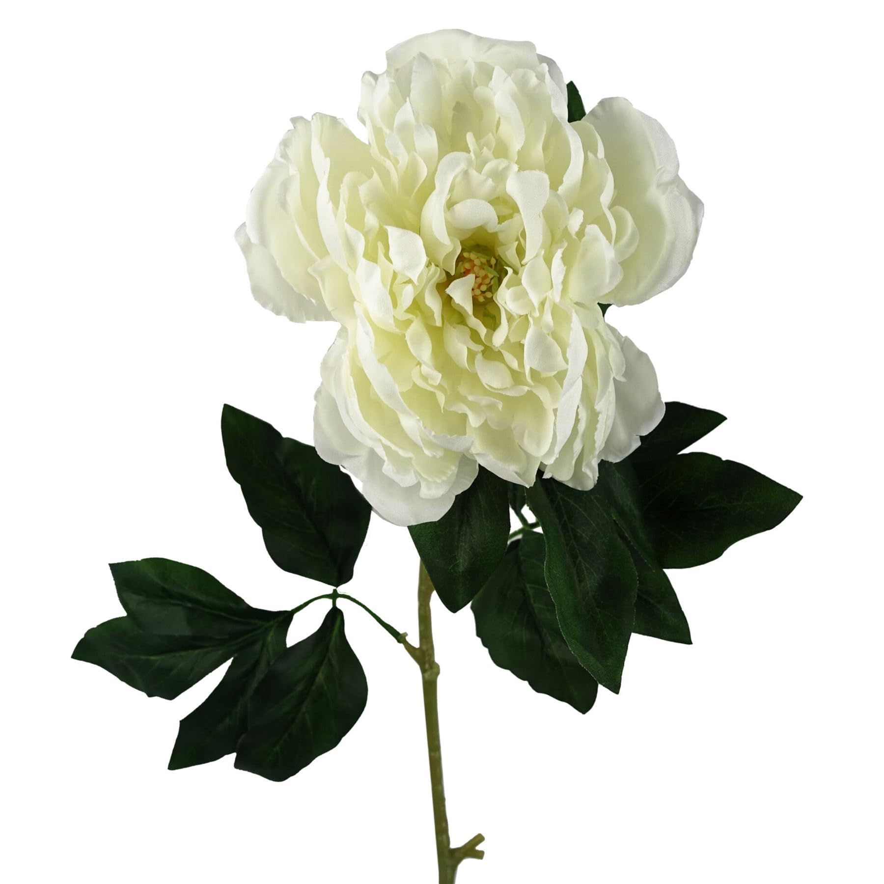 Leaf 80Cm Artificial Cream Peony Stem from B&Q