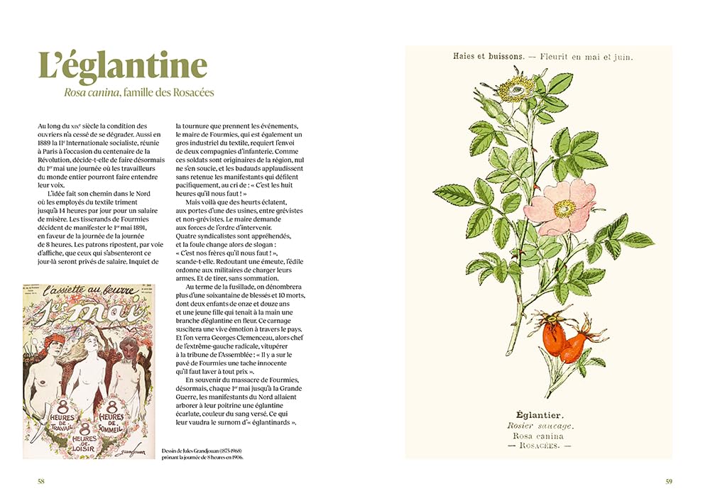 Les 100 plantes qui ont fait l'histoire - Du lotus bleu de Cléopâtre à l'absinthe de Toulouse-Lautrec
