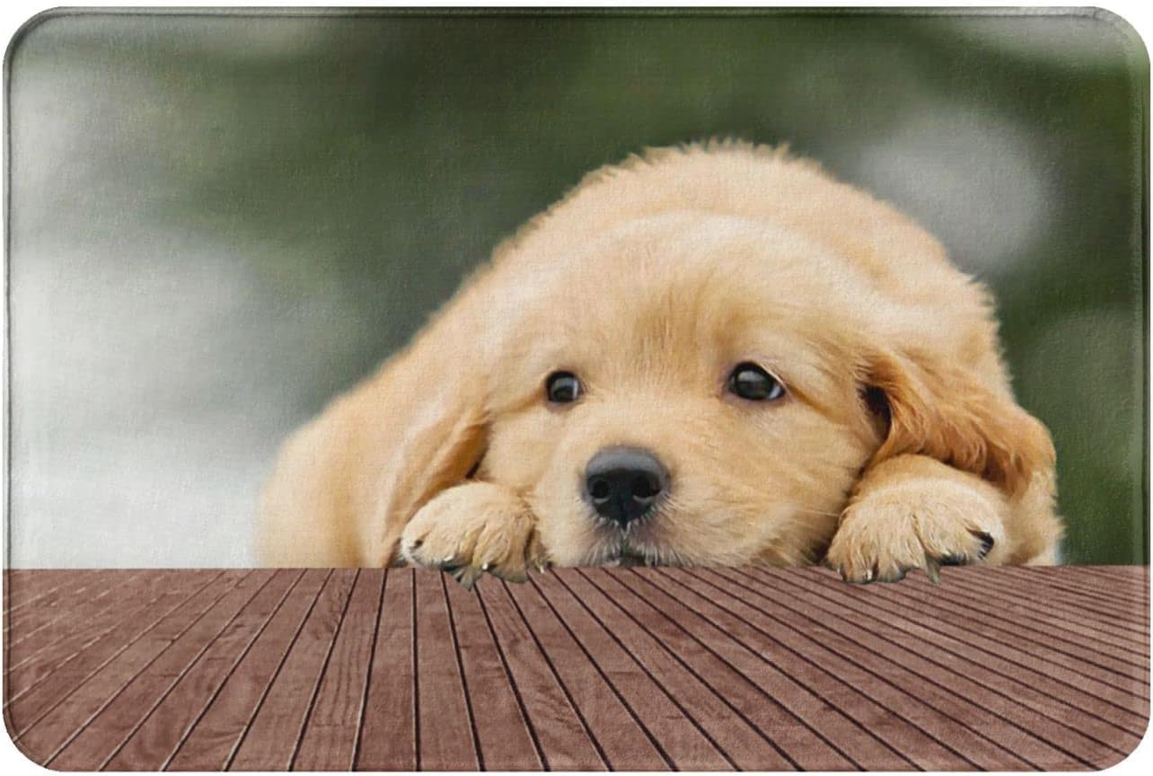 Amazon | MUZIZY お風呂マット 屋外 室内 ゴールデンレトリバー
