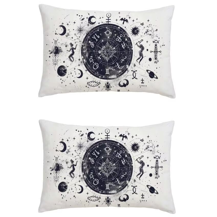 Coussin extérieur imperméable 80x100cm anti-tache lot de 2 violet
