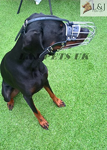 Muselière métal pour chien Champion Pour Doberman et autres museau semblable 4D