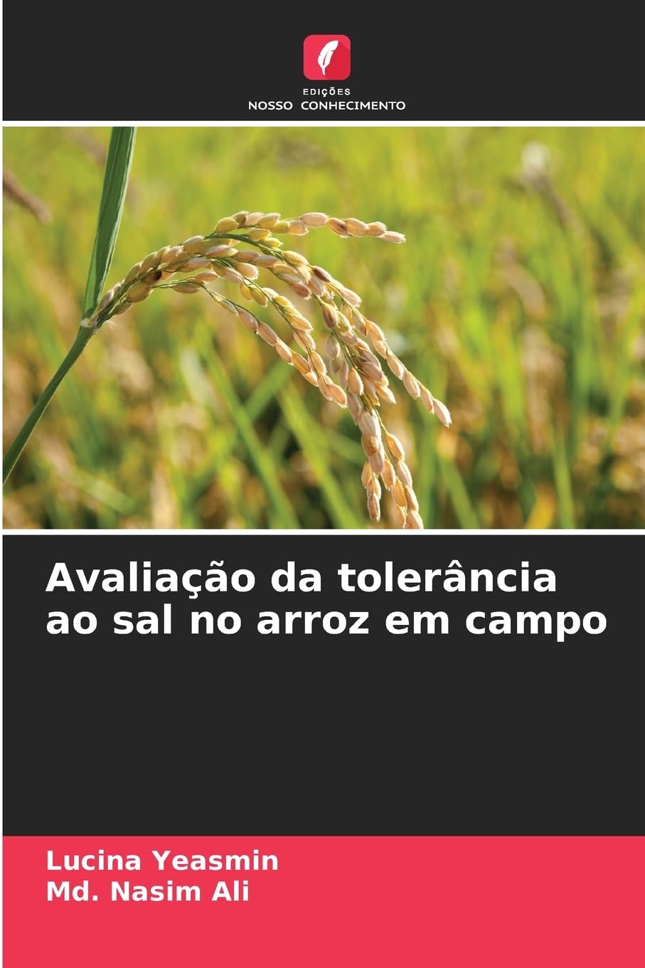Avaliação da tolerância ao sal no arroz em campo