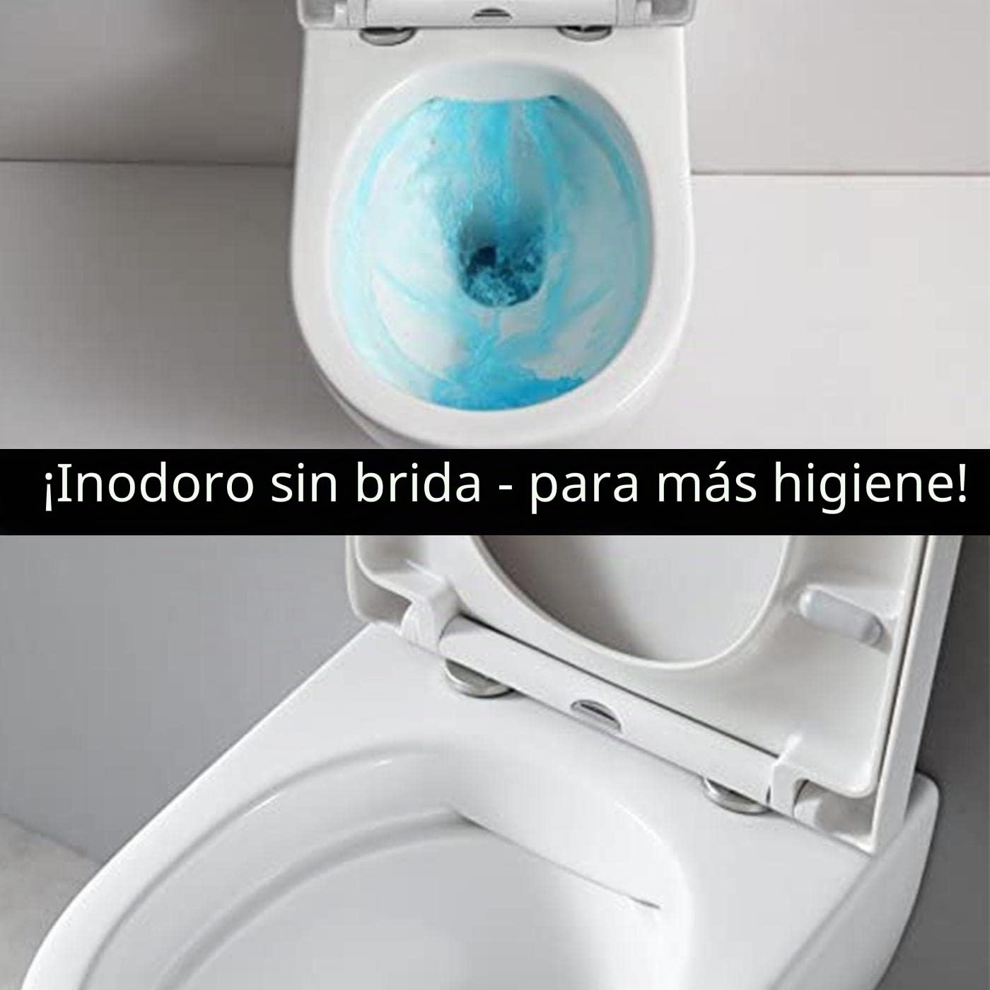 BERNSTEIN Inodoro suspendido de diseño, sin borde, juego de inodoro suspendido, inodoro con tapa extraíble, asiento de inodoro con mecanismo de cierre suave, inodoro suspendido sin borde NT2039