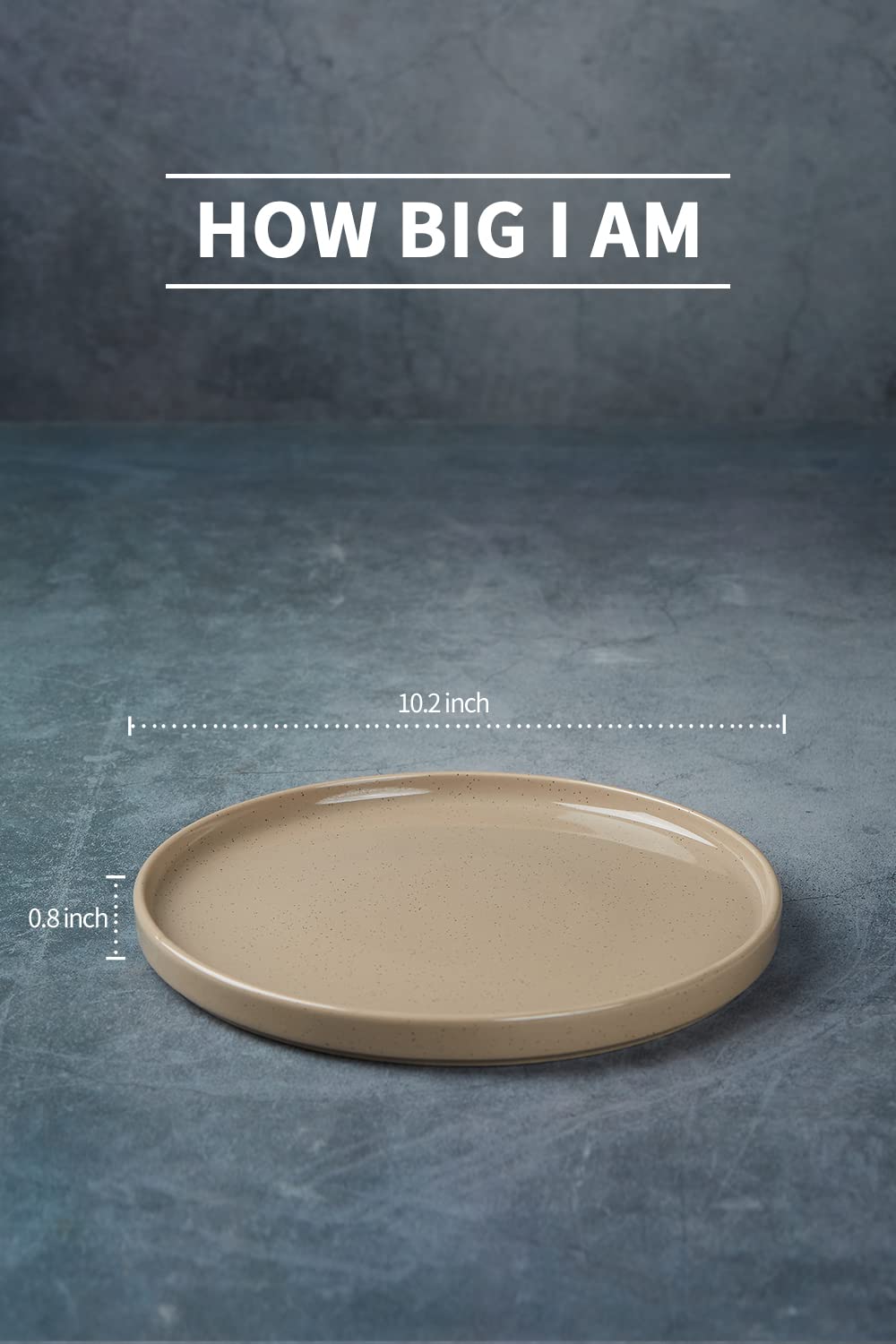 famiware Nebula 6 Pieces Dinner Plates, 10.2" Plates Set, Scratch Resistant, Stoneware Dinnerware, Kitchen Modern Rustic Dishes, Cinnamon Brown