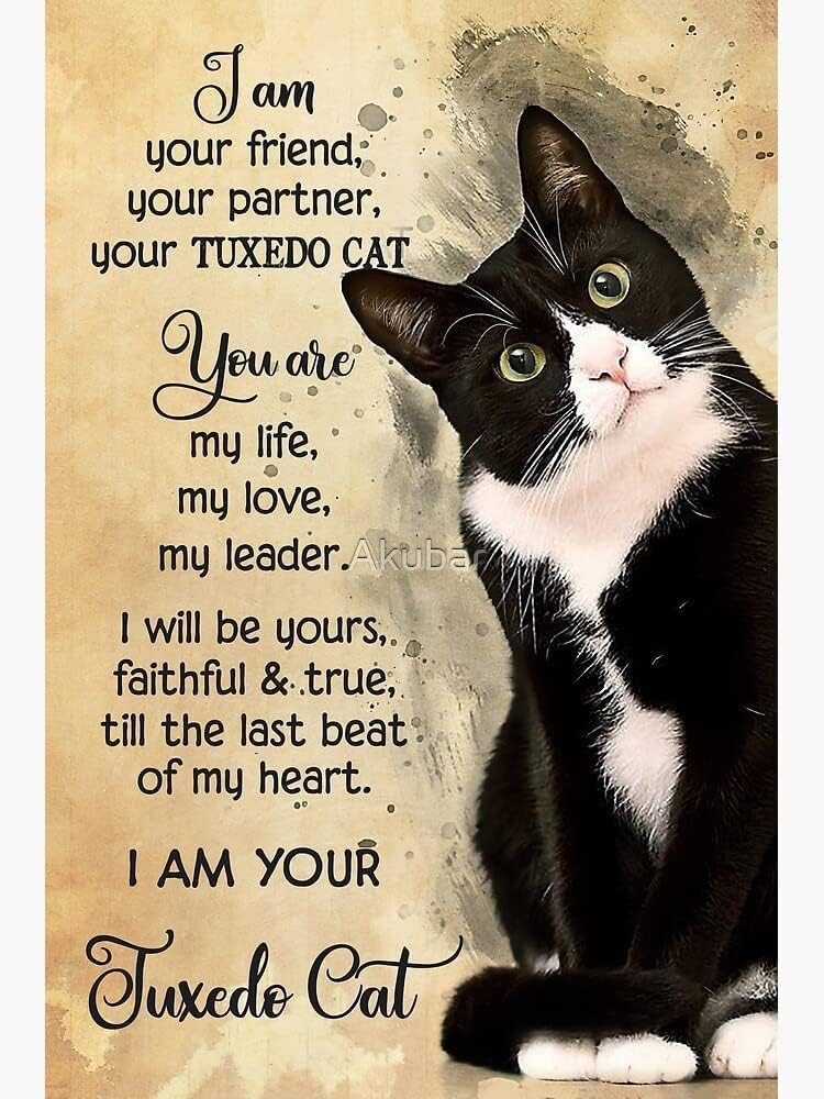 Animal Jigsaw I Am Your Friend, Your Partner, Your Tuxedo Cat Jigsaw Wooden Puzzles 1000 Pieces Art Home Decor DIY Funny Parent-Child Educational Game Toy Puzzle Gift for Adults and Kids