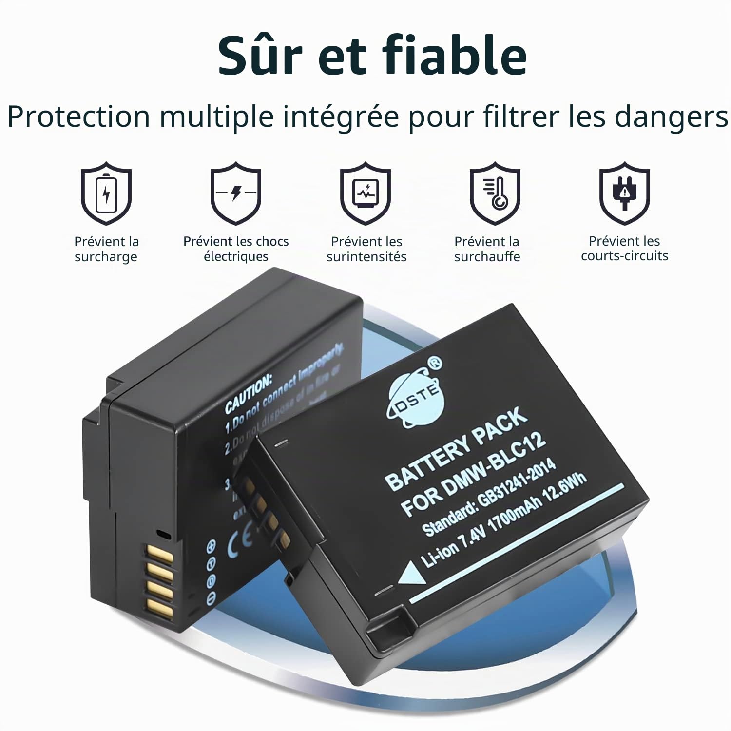 DSTE 2PCS DMW-BLH7E Batterie & Chargeur Compatible pour Panasonic Lumix DSC-GM1 DMC-GF7K DMC-GM1K