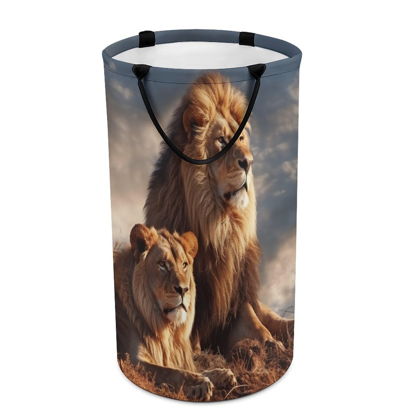Panier à linge sale pliable Two Lions avec poignées pour le placard