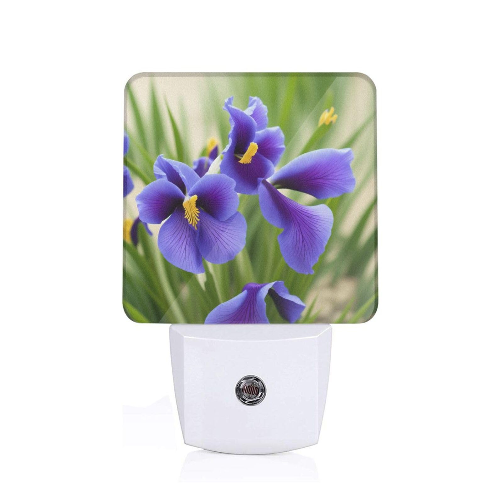 Violets Flower Print Night Lights,Night Light Plug in Wall,Night Lights for Adults,Hallway,Kitchen, Plug in Night Lights for Bedroom, Corridor