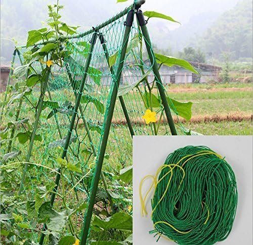 Plant Support Netting Plant Climbing Net Nylon Trellis Mesh Pea tomato cucumber vine Climbing Plant Bean Vegetables Fruits (1.8mx0.9m)