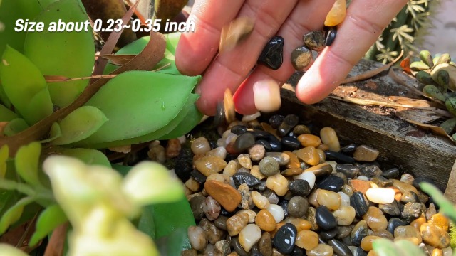 Image of CJGQ 18lb 1 /4 /'' Polished Pebbles for Plants Potting,Succulents Aquarium Fish Tank Vases-Decorative River Rocks Garden Gravel Stones
