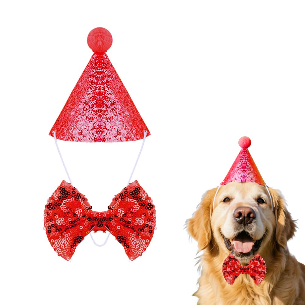 Chapeau de jour d'anniversaire et nœud papillon pailleté, le cadeau idéal pour animal