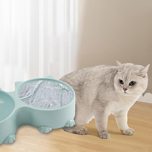 Foto 5 de 8 de Kasmole Cuenco Elevado Inclinado - Cat Design Comederos Dobles para Gatos