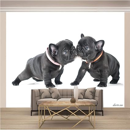 Amazon Qhzsff 3d壁画壁紙 ペットの犬 サイズ 250 X 175cm 幅 高さ リビングルーム寝室の壁の装飾家の装飾壁画の写真壁紙用壁 Diy 工具 ガーデン