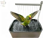 bird shower Top3商品