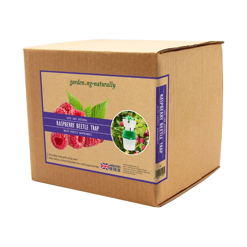 Raspberry Beetle Trap Or Refill Pheromone Lure Insect Control (Trap)