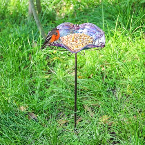 DREAM GARDEN Glass Bird Bath for Outdoors, Garden Birdbaths Birdfeeder with Metal Stake for Outside Yard Lawn, Purple