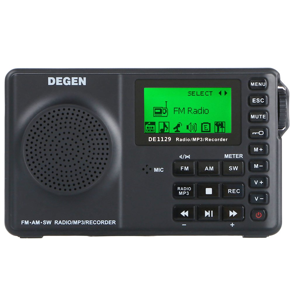 Amazon.co.jp: DEGEN DE1129 ＋予備バッテリーセット デジタル