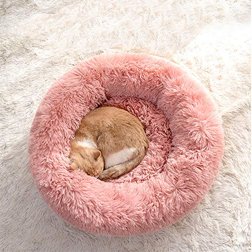 WINS Cuccia per Cane Gatto lettini Cani cucce