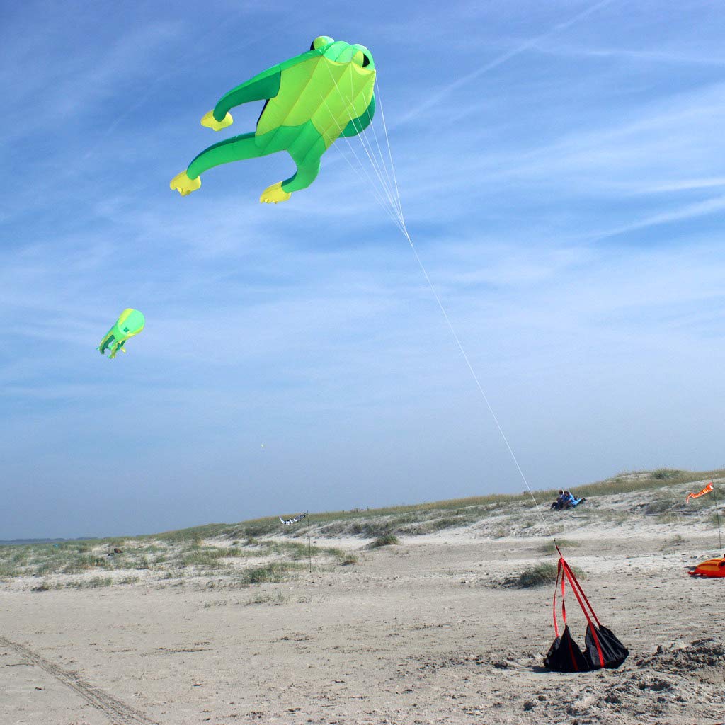 Wolkenstürmer Fritz The Frog Cometa Simple Línea sin Perchas