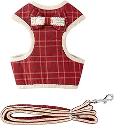 Coleira Peitoral para Cachorros e Guia Estampada Yorkshire Shih-Tzu (P, Vermelha)