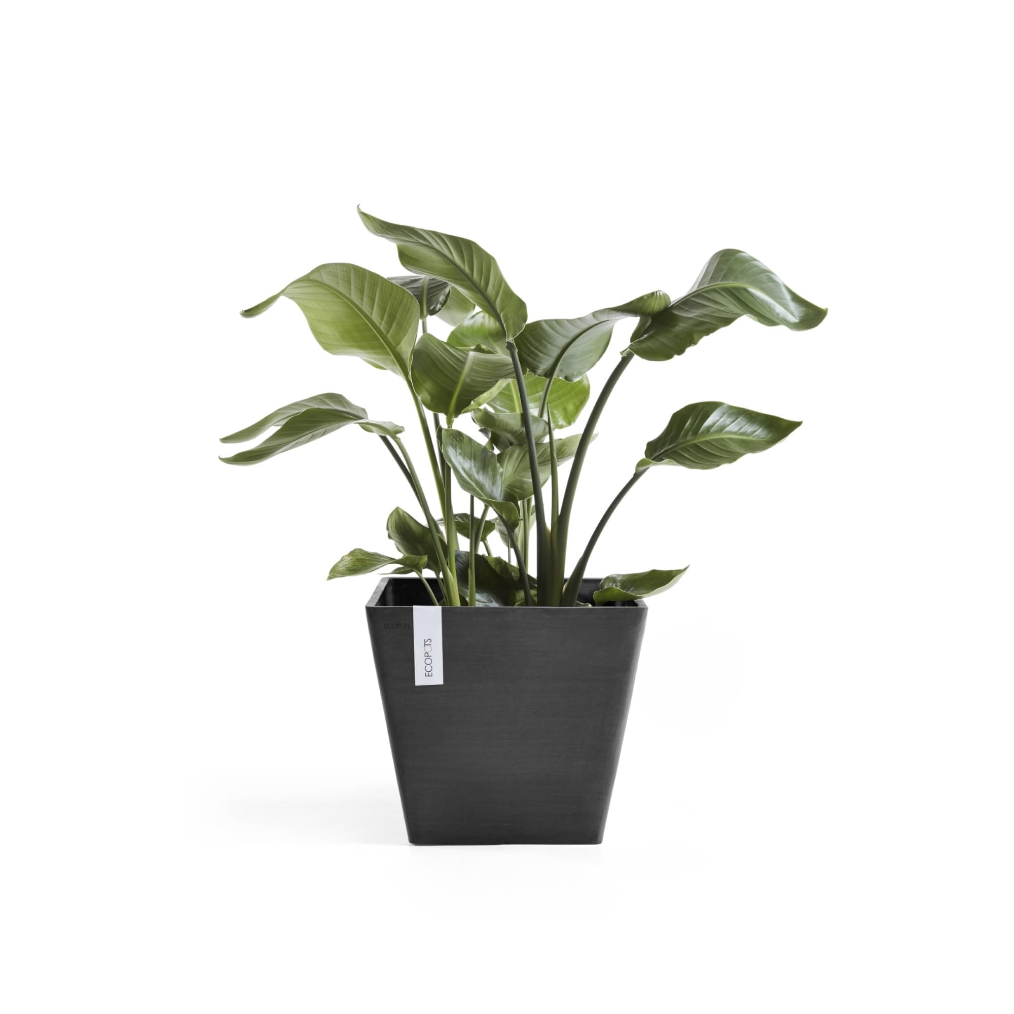 Ecopots Ashortwalk Rotterdam - Vaso per piante in plastica riciclata (larghezza 40 cm x lunghezza 40 cm x altezza 35 cm) (nero)